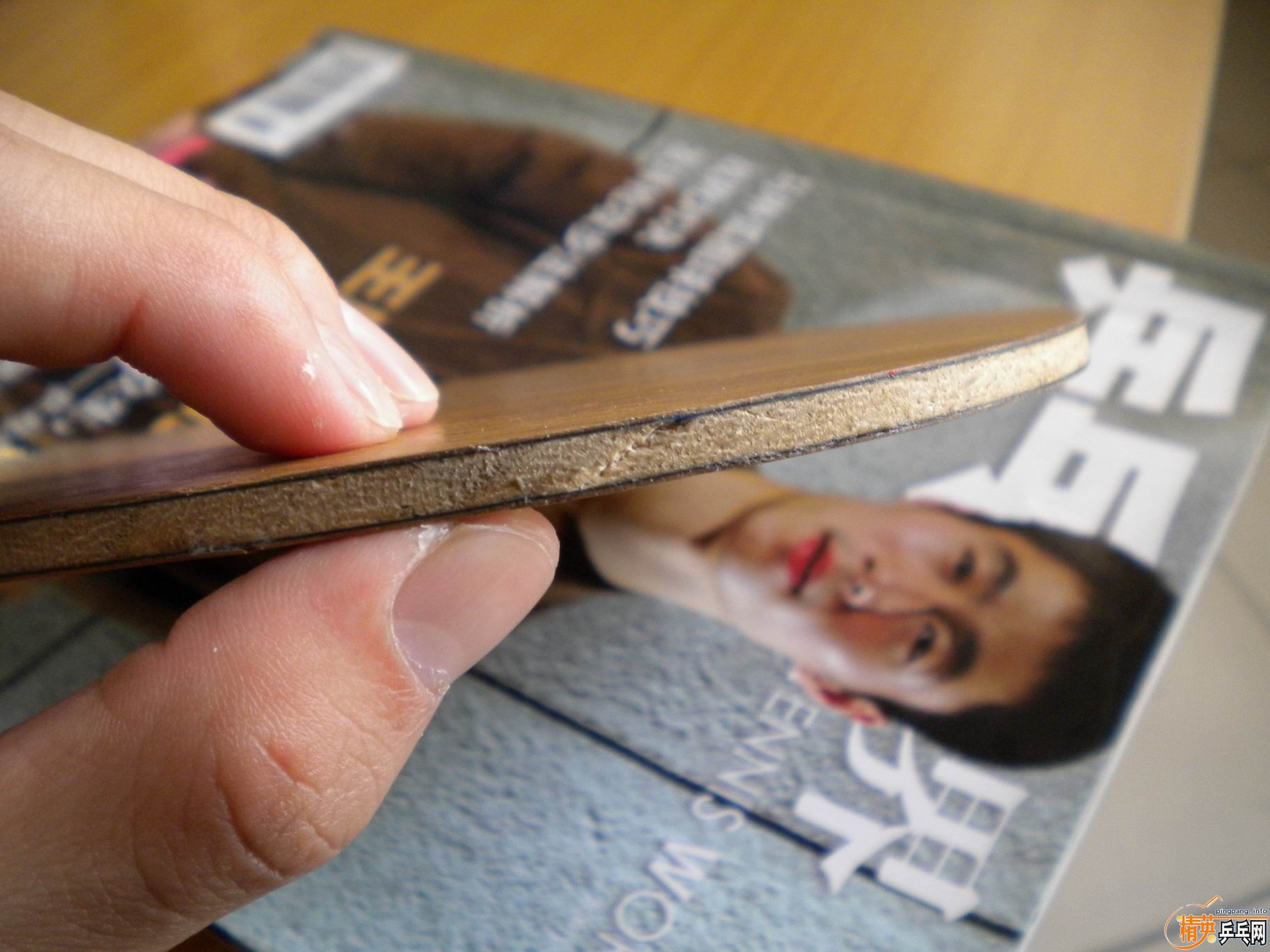 380���ʳ��������� nittaku rutis