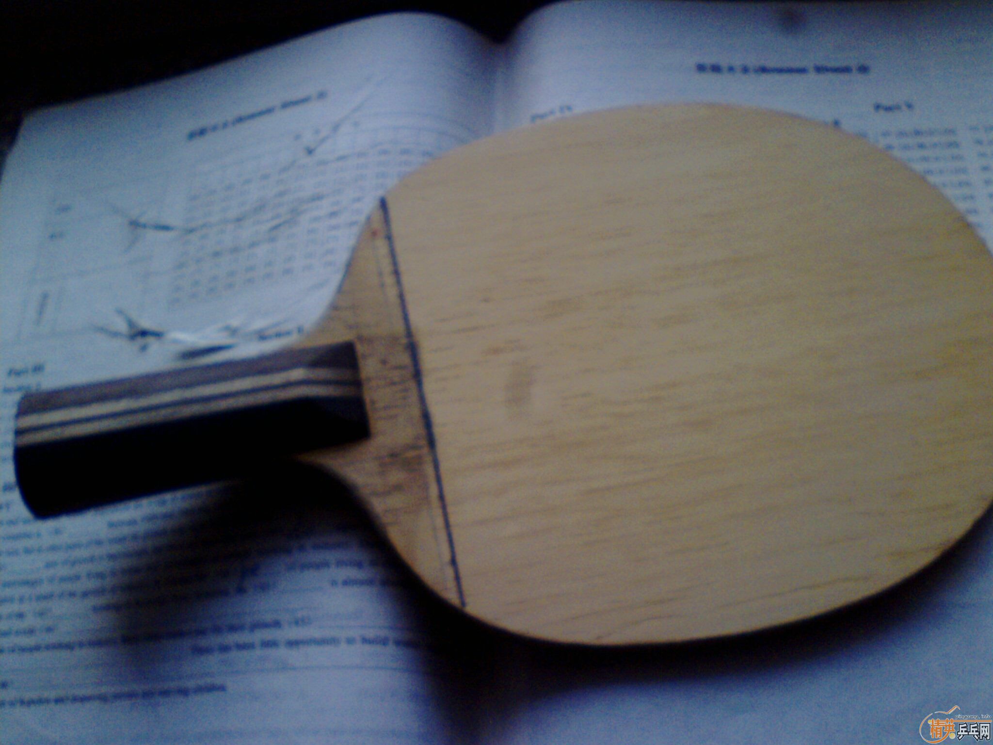 ����2023   ��ͭ��   �ͼ��Ž�Ƥ