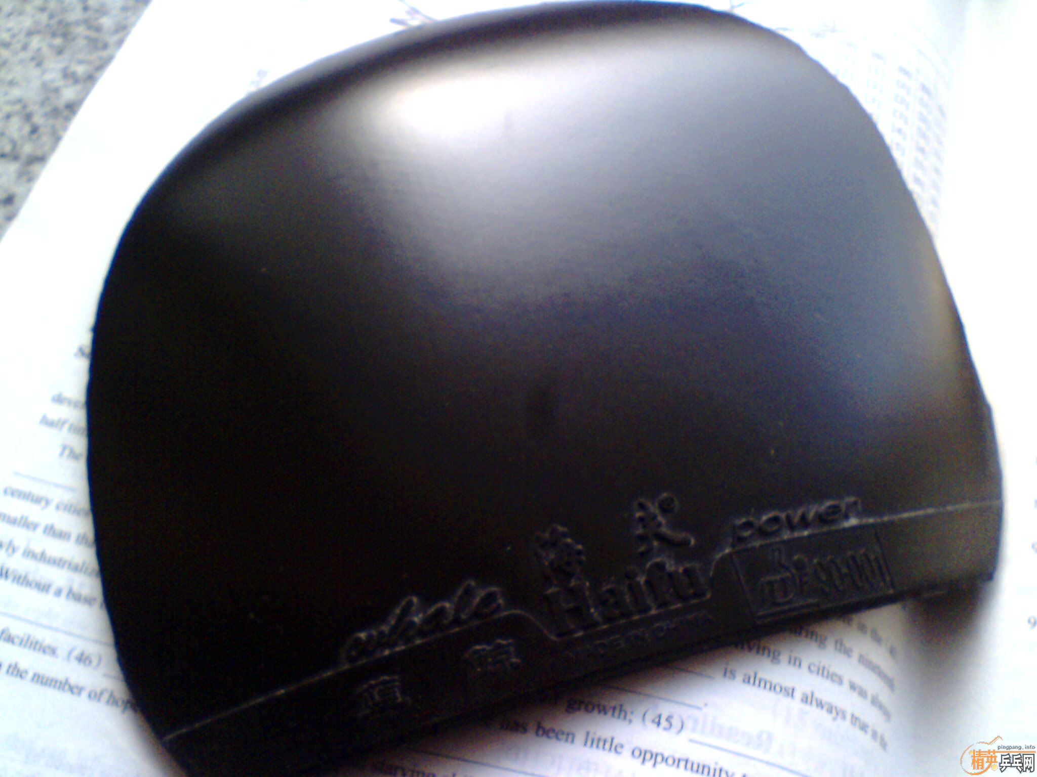 ����2023   ��ͭ��   �ͼ��Ž�Ƥ