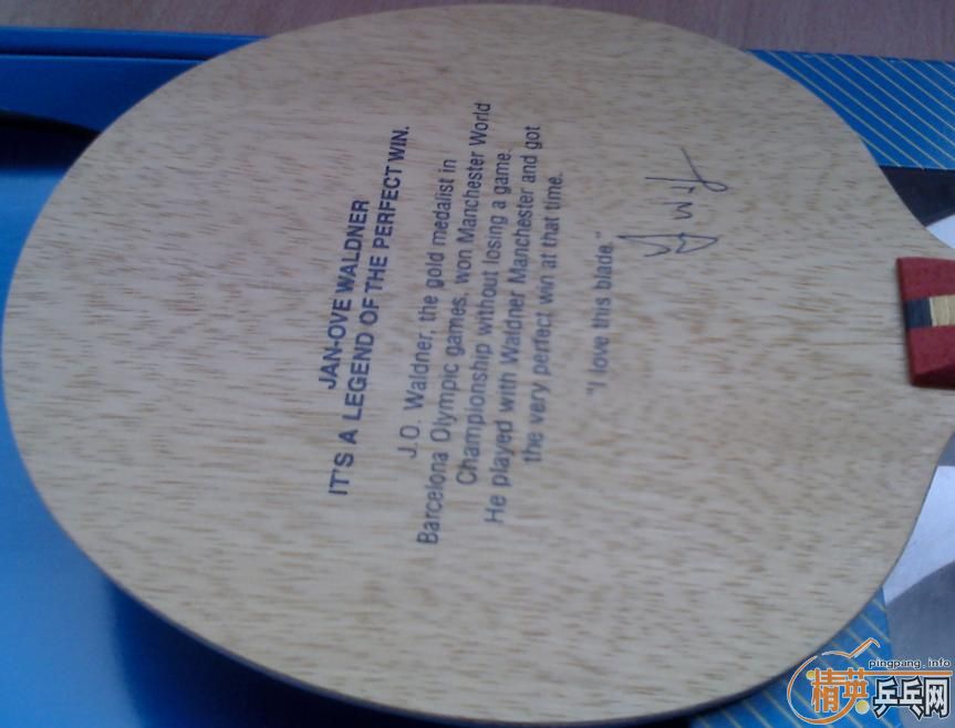 ������ �߶����ڶ� ��ľ   nittaku waldner     FLһ��