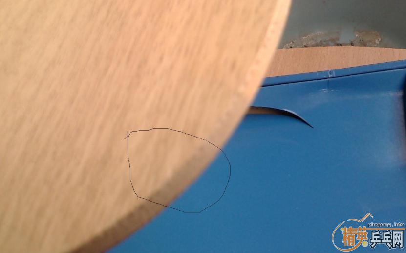 ������ �߶����ڶ� ��ľ   nittaku waldner     FLһ��