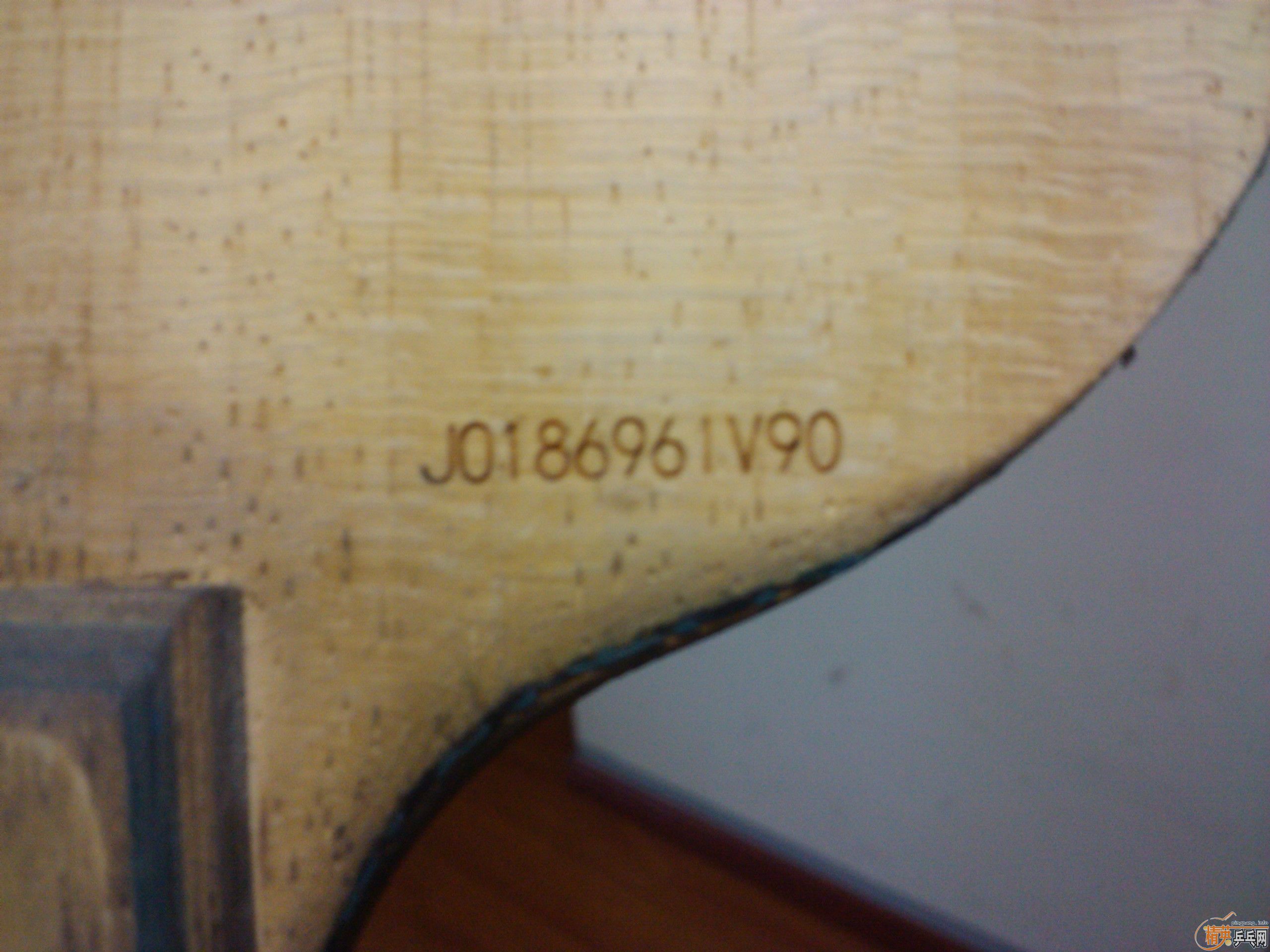 ������˦����׼��ϴ�ֲ��棡֧�������ף�