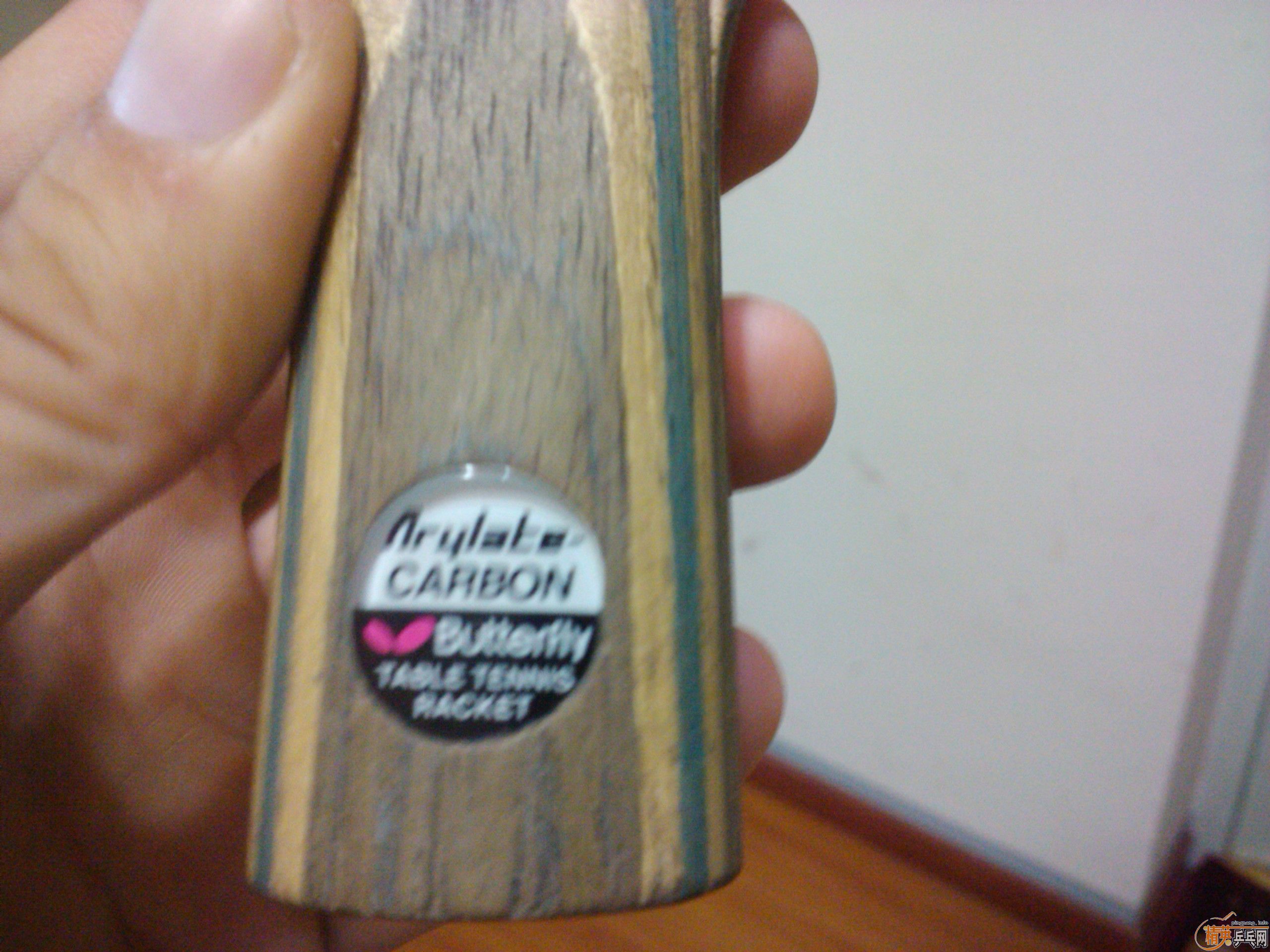 ������˦����׼��ϴ�ֲ��棡֧�������ף�