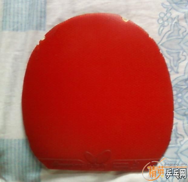 120������һ�ѽ�Ƥ