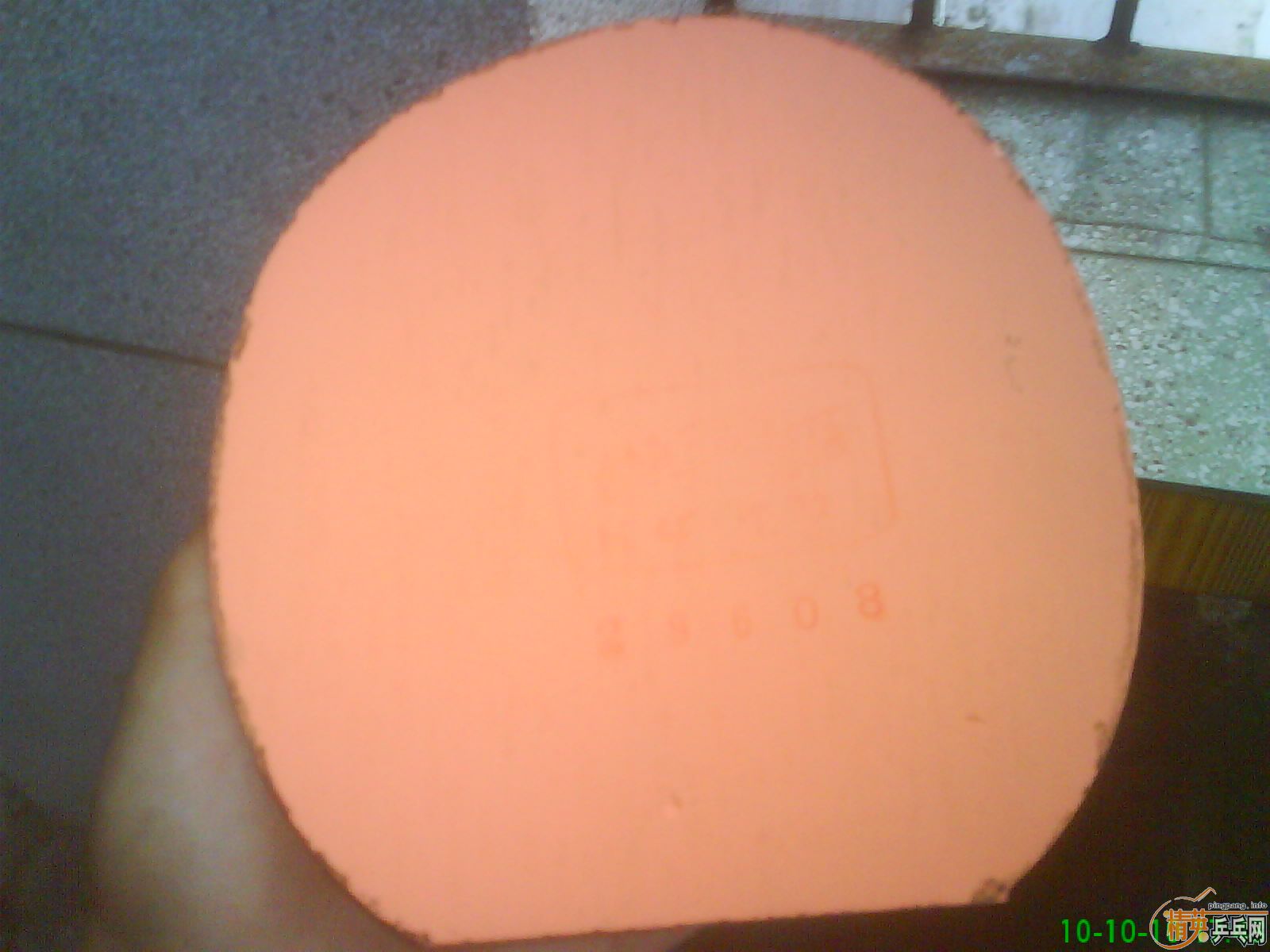 [ע��]8������2023FL +����+729-2  =80��Բͨ������~����������������������~~~����