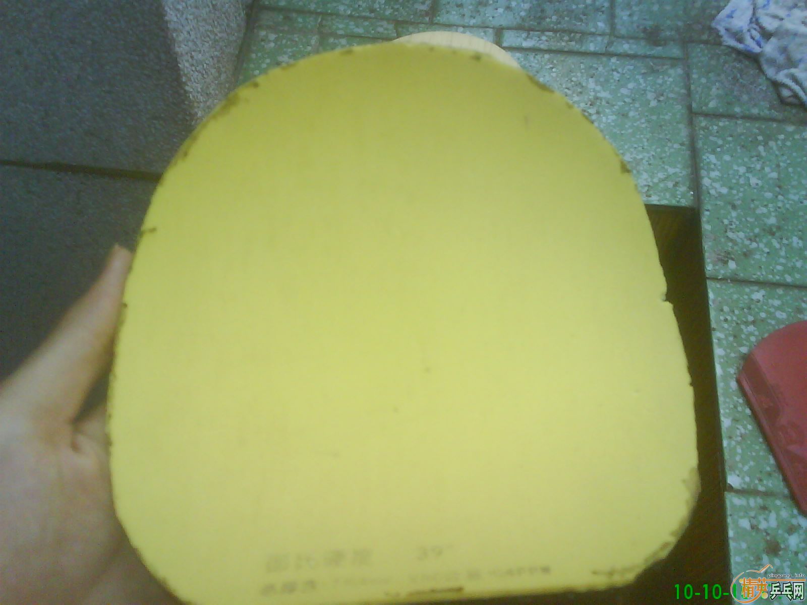 [ע��]8������2023FL +����+729-2  =80��Բͨ������~����������������������~~~����