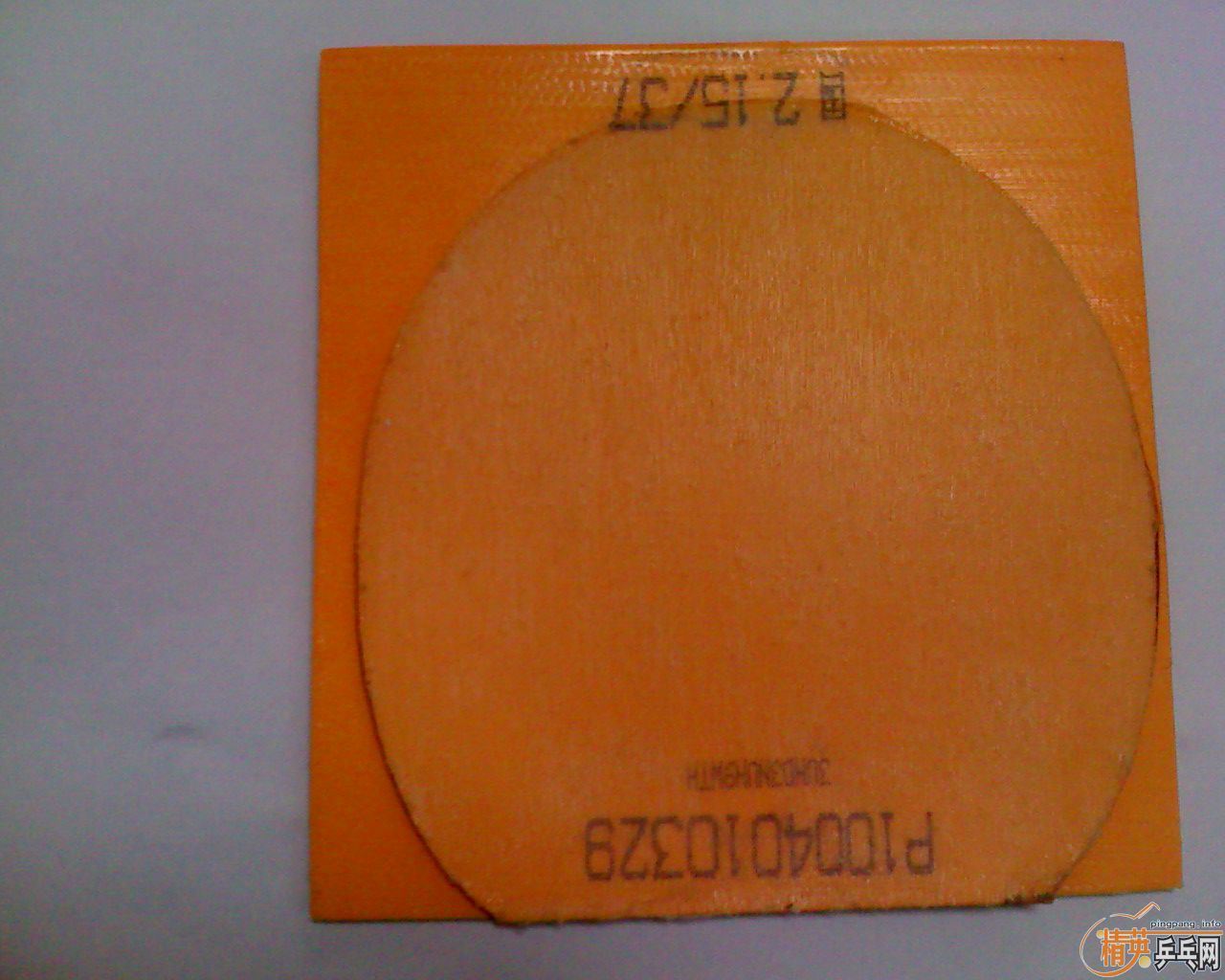 ����׹����������speedfx