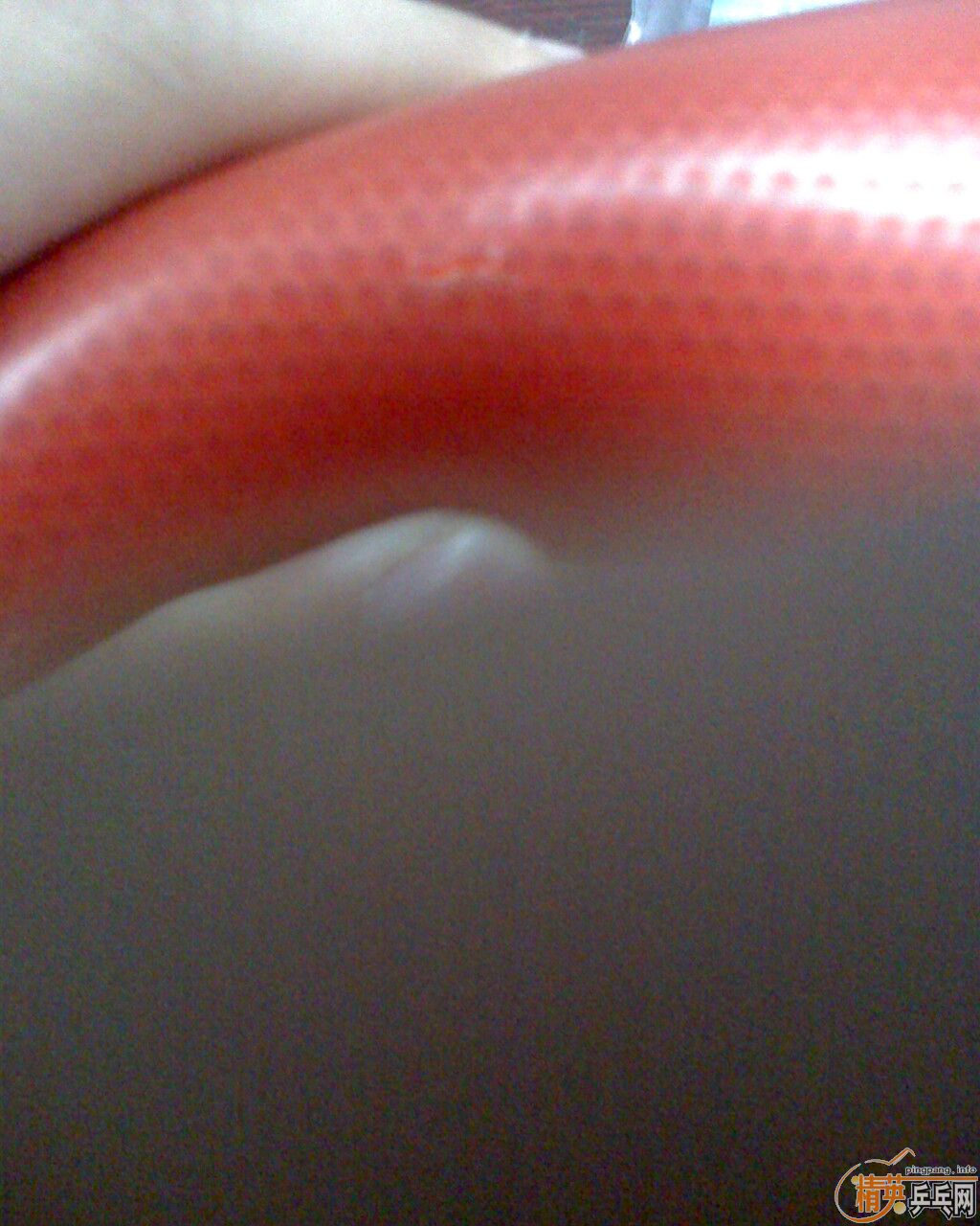 ����׹����������speedfx