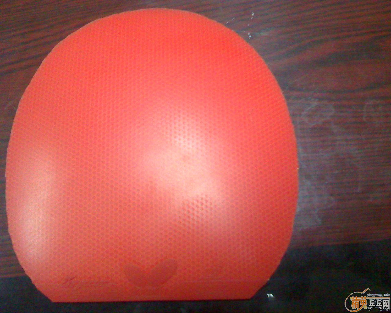 ����׹����������speedfx