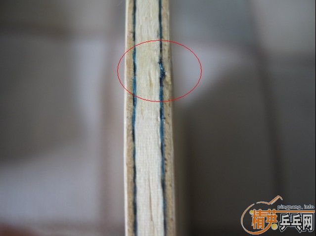 �����յڶ�����֧��������˫ϲ���DM1000���ˣ�����Ʒ