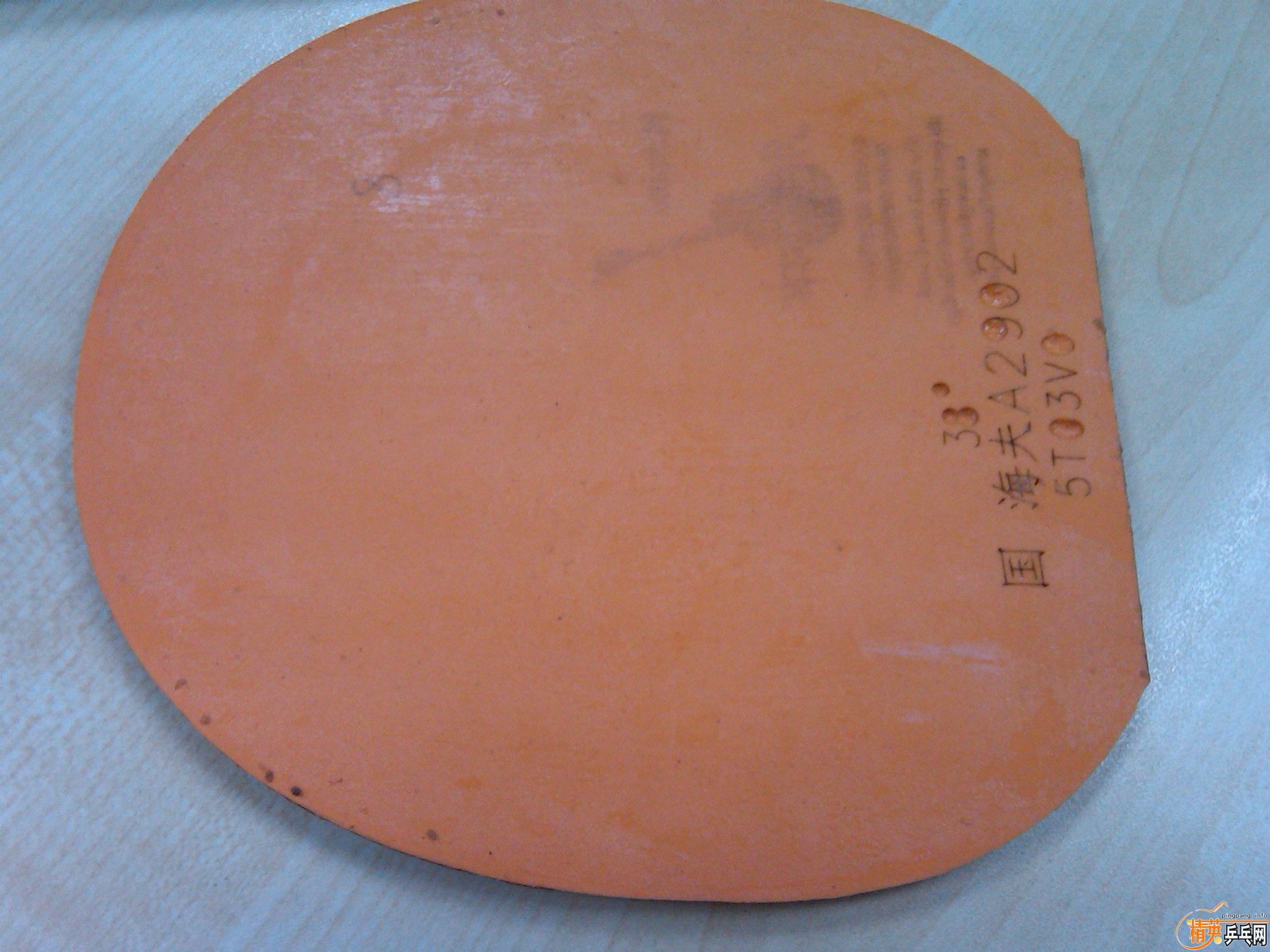 ��Ӳʨ��ͷ������2