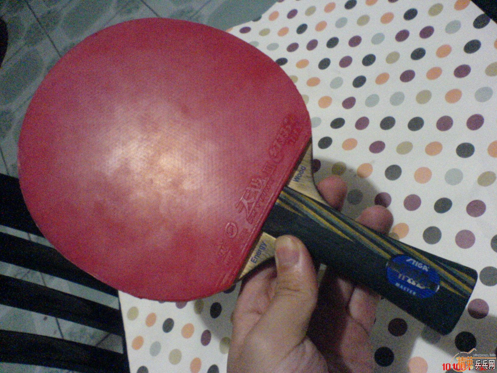 EG �л� ����  �޿���  ����˿ ������  �� �� ֱ��