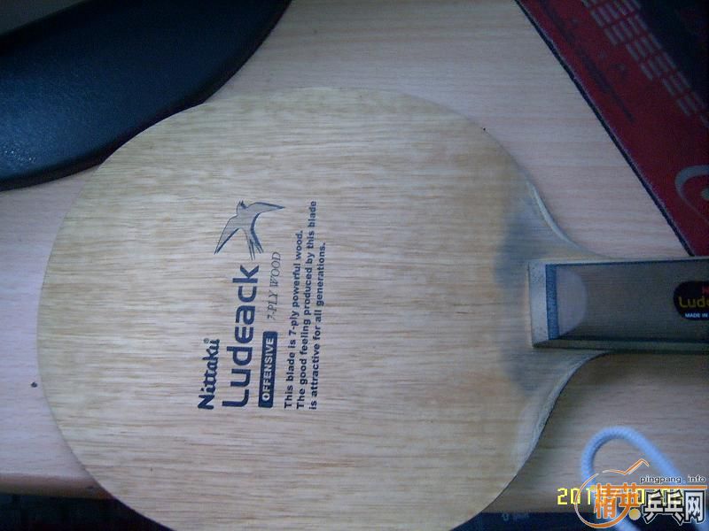 ��������  С��һֻ