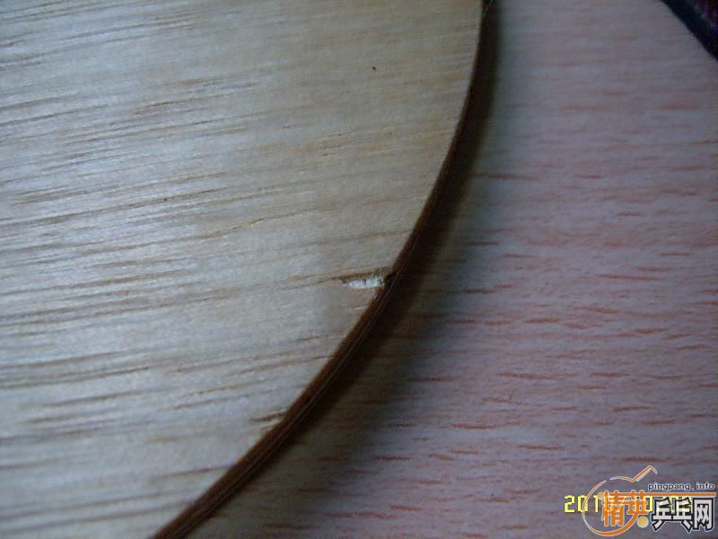 ��������  С��һֻ