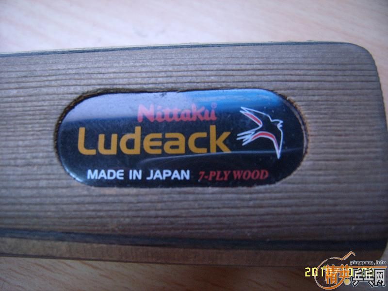 ��������  С��һֻ