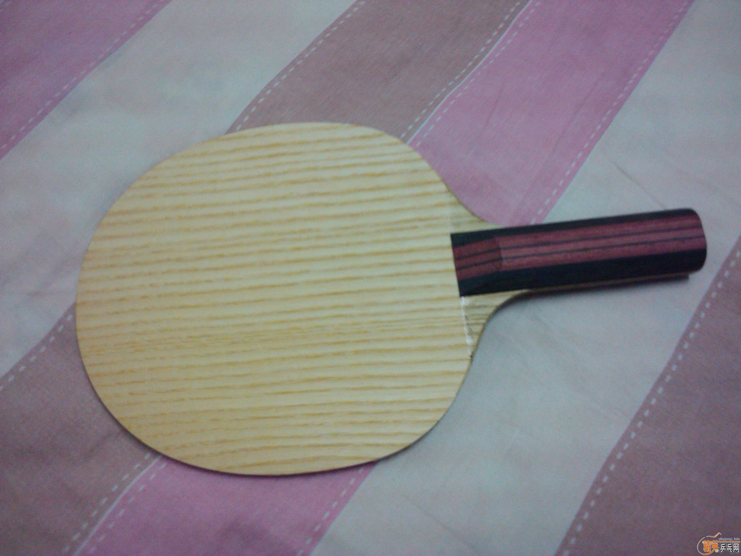 ������ST��С����