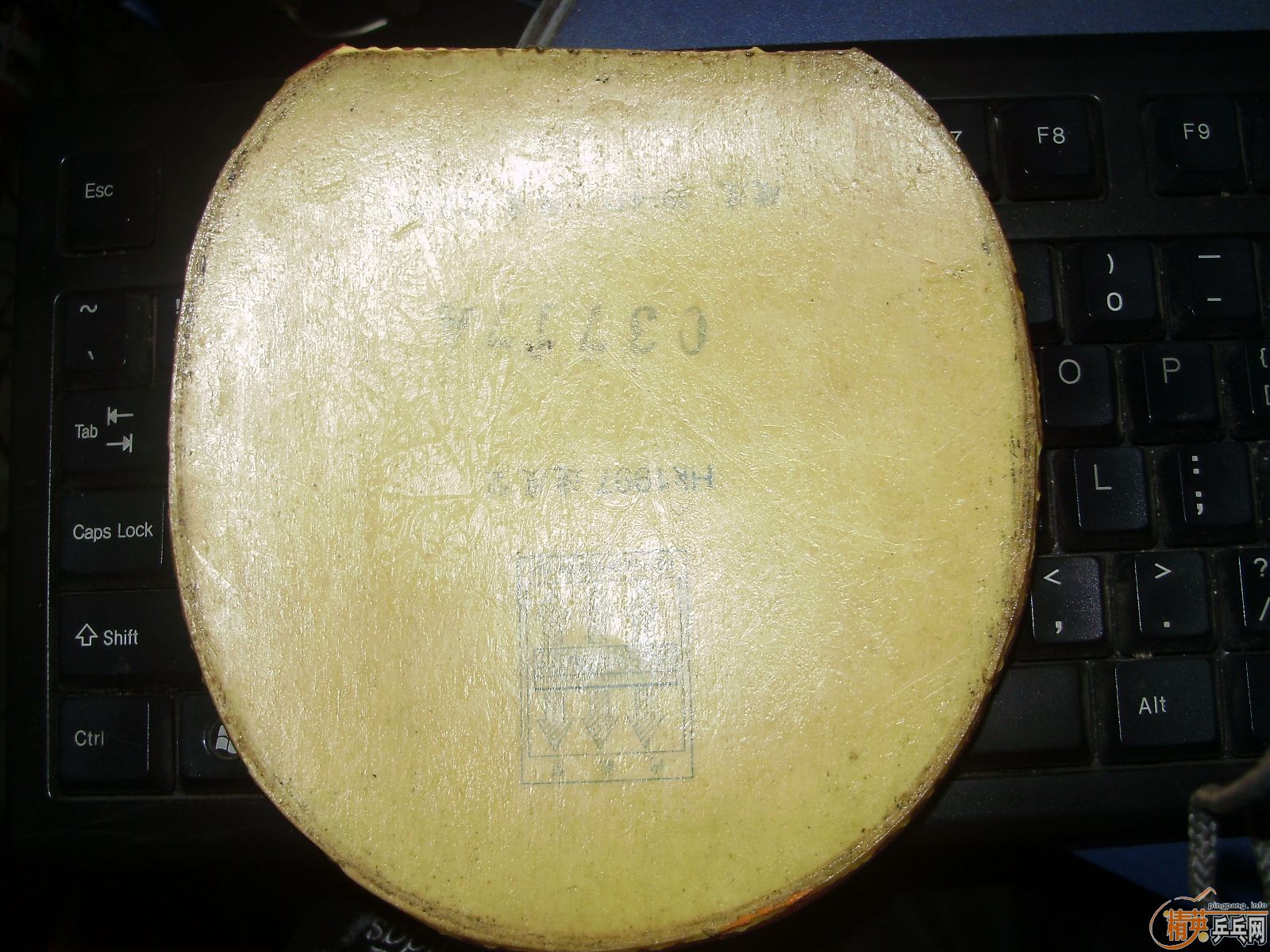 ���˳������׽�hk1997ɬ��729-05.������Ҳ�ɻ������׽���