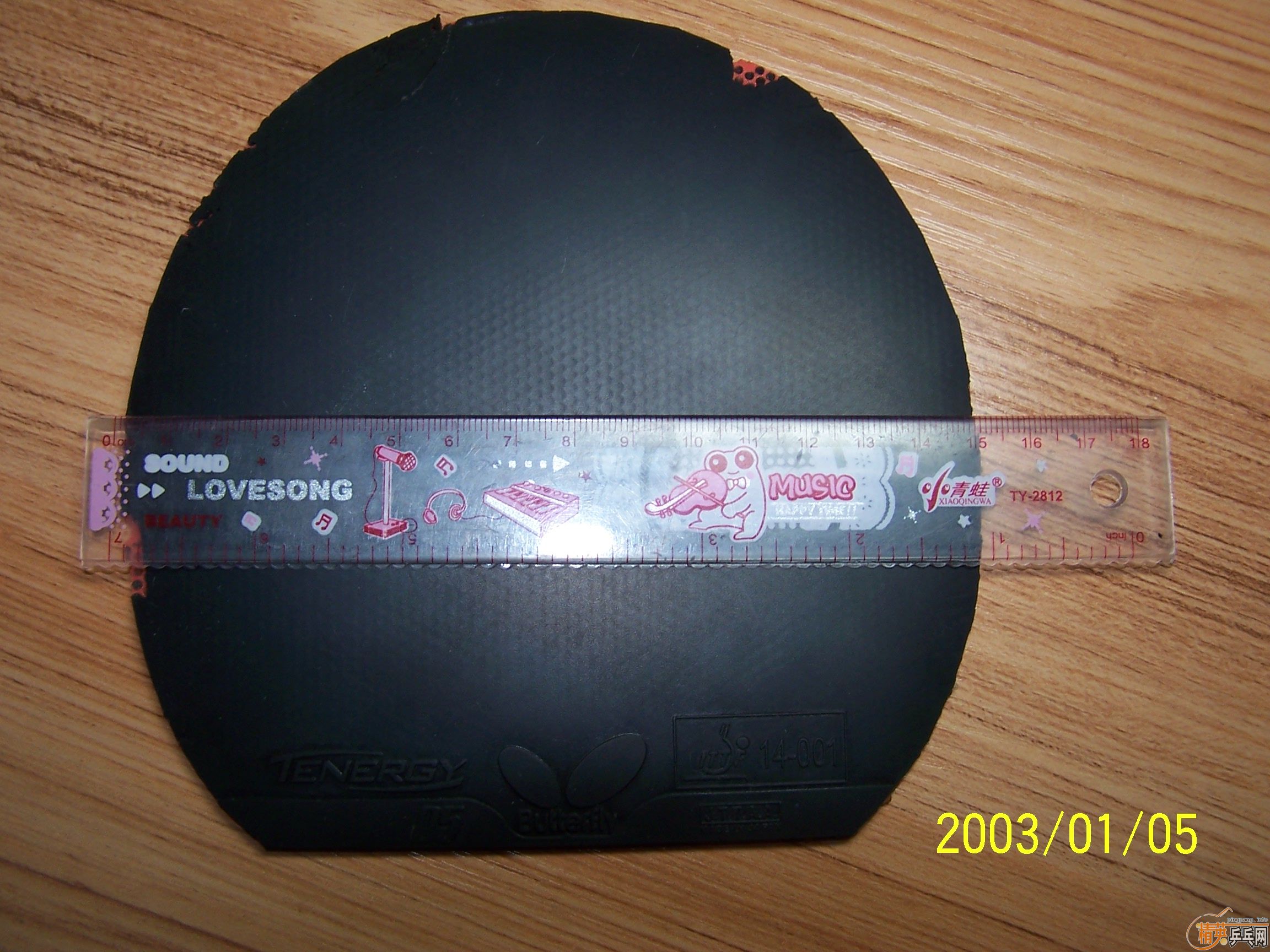 ��һ�ѽ�Ƥ��֧��֧������T05���ڻ�ʡ��EL��