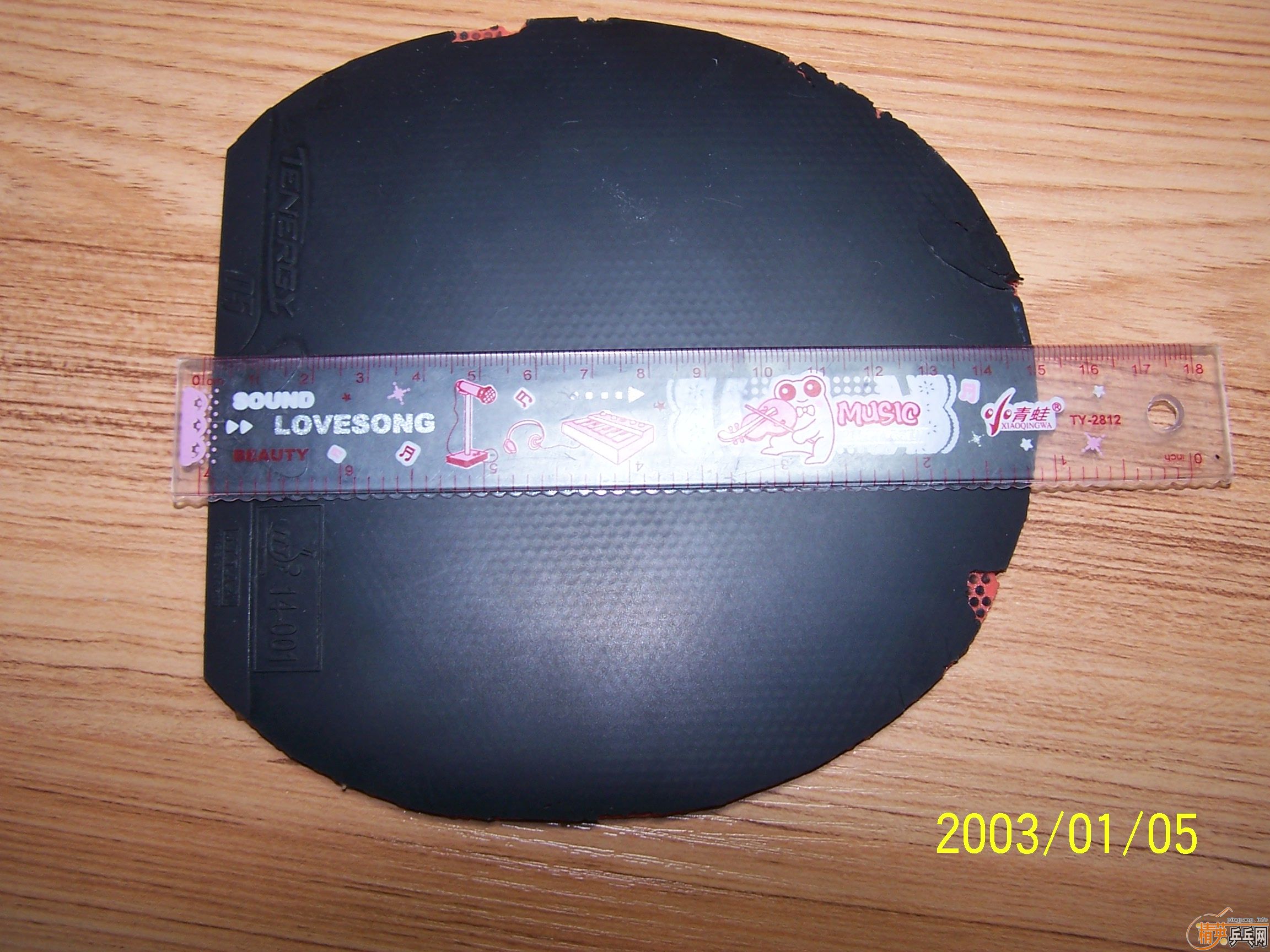 ��һ�ѽ�Ƥ��֧��֧������T05���ڻ�ʡ��EL��