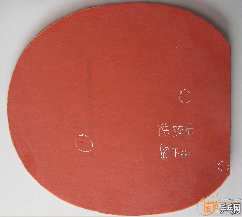 [ԭ��]��������T05��NITTAKU�׷�����NEO�տ�����һ����