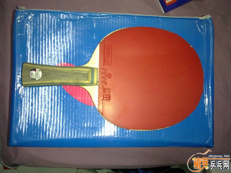 ���˳�������VIS�ӽ�̤��Ƥ