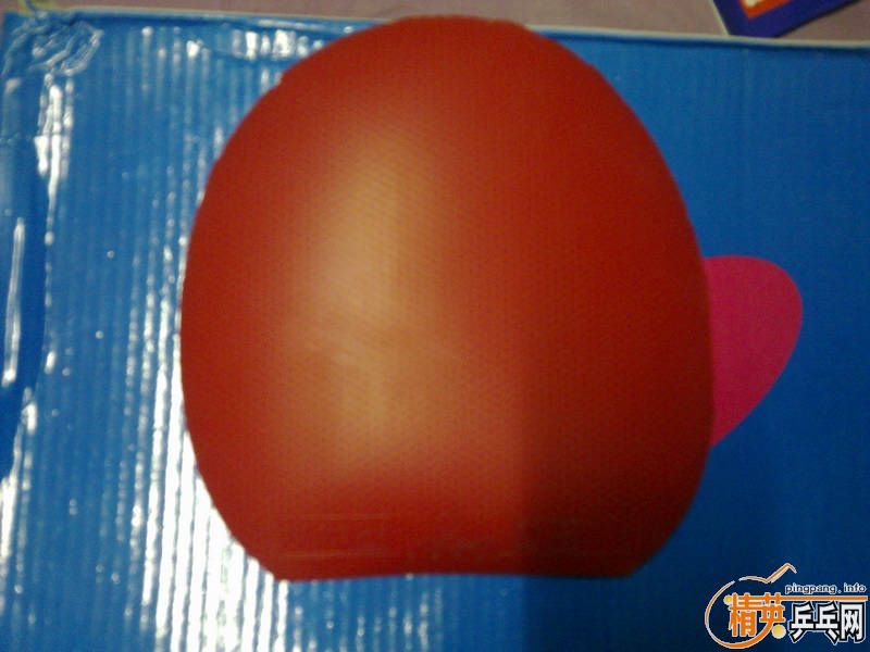 ���˳�������VIS�ӽ�̤��Ƥ