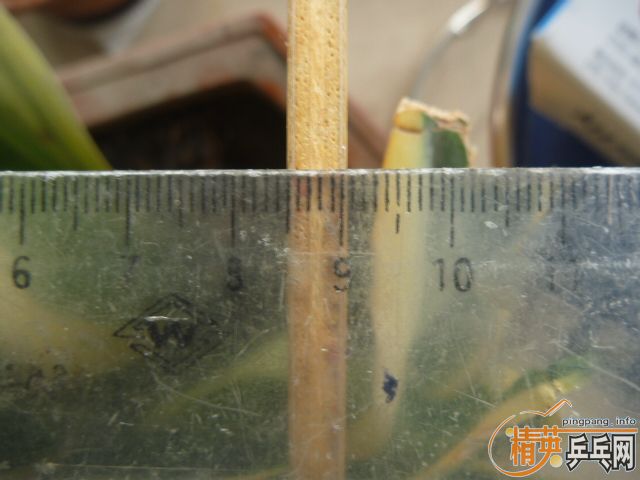 joola sting st�������д��Ը��ô��