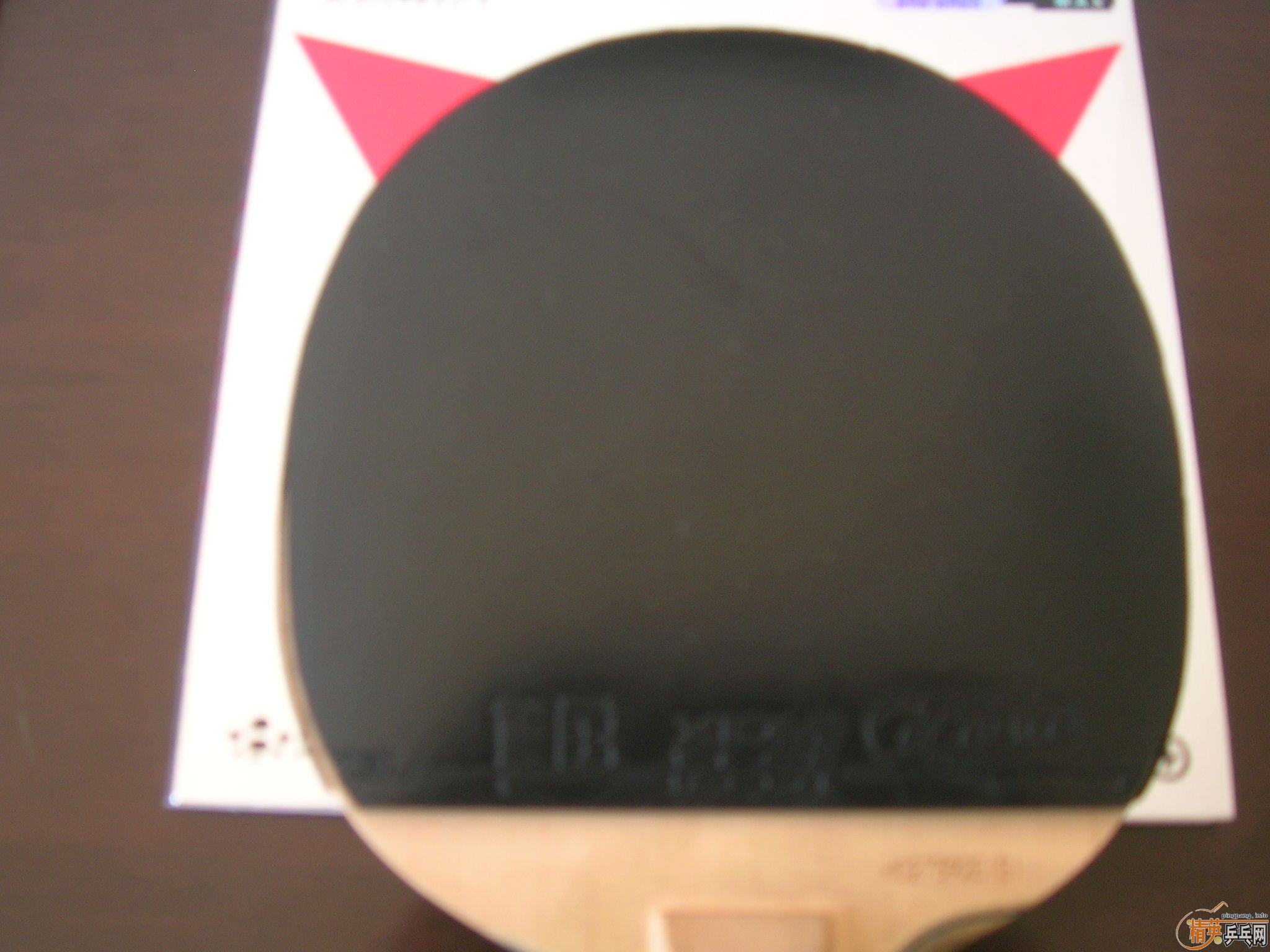 �����ͺ�V9.9�´�����ֱ������