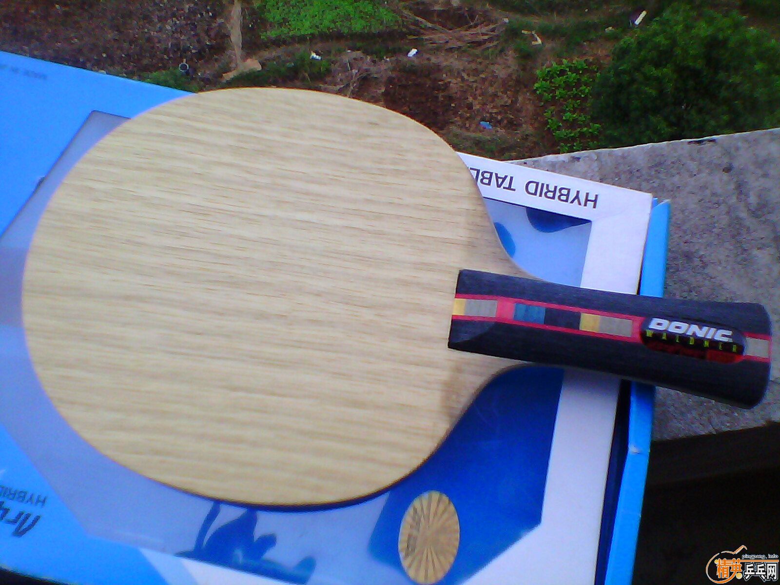 FL������̼��ǿ�����߳�