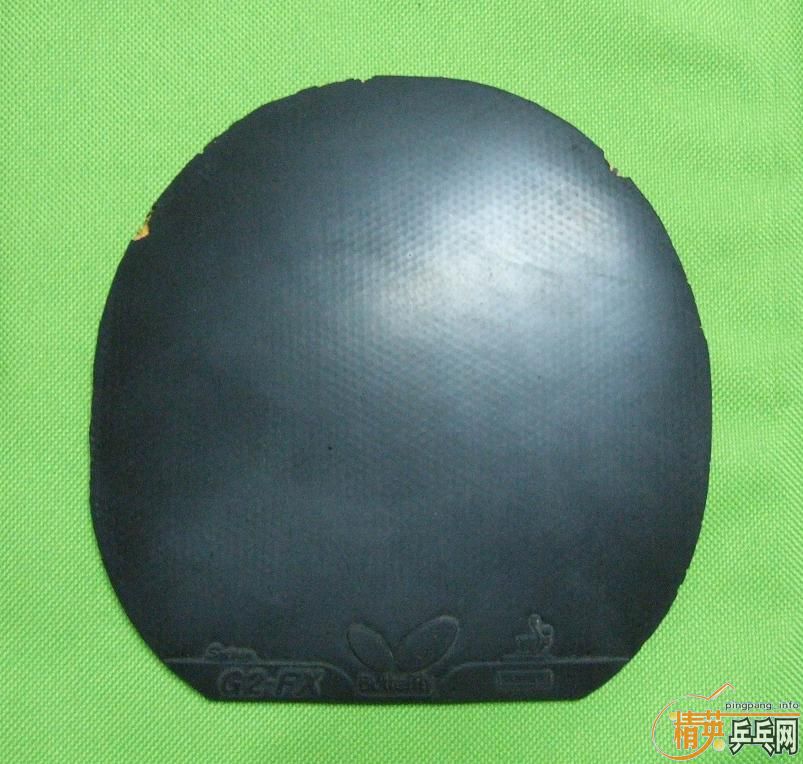 ���� G2FX   �տ� ���80���ʷ�