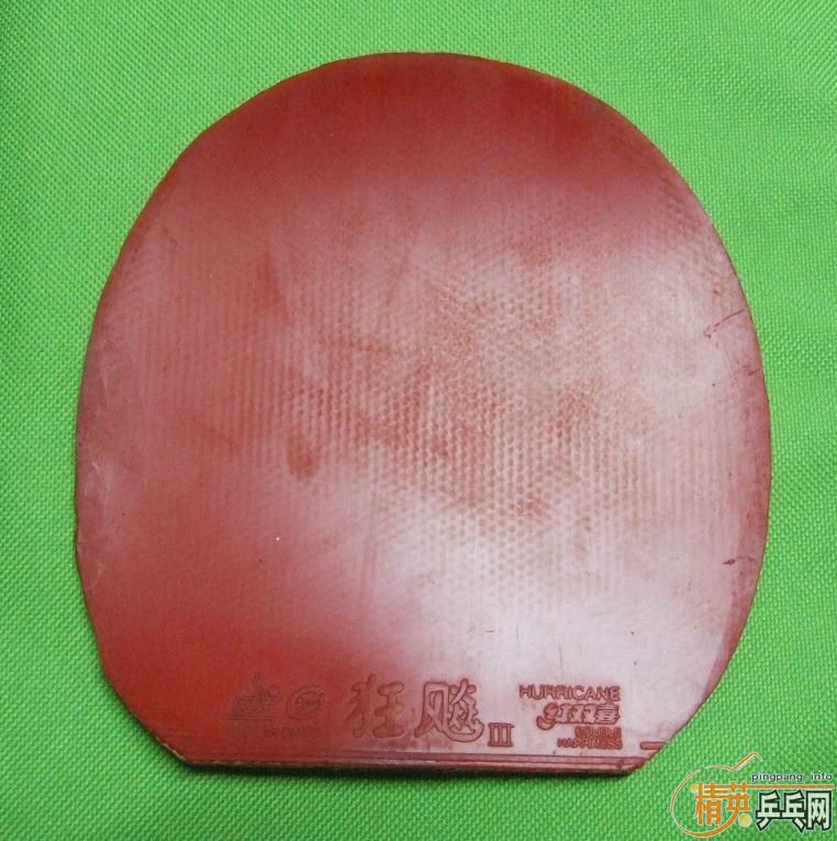 ���� G2FX   �տ� ���80���ʷ�