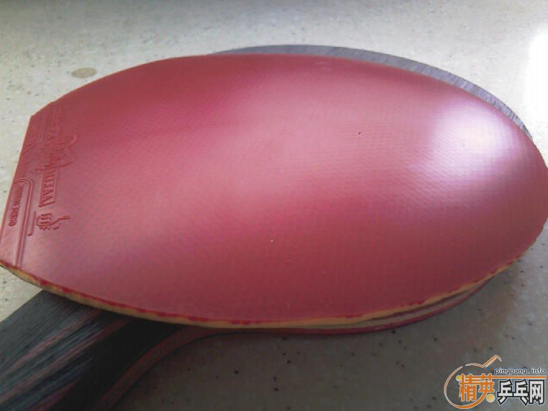 st���+server��Ƥ=300���ʣ�֧�������ף�