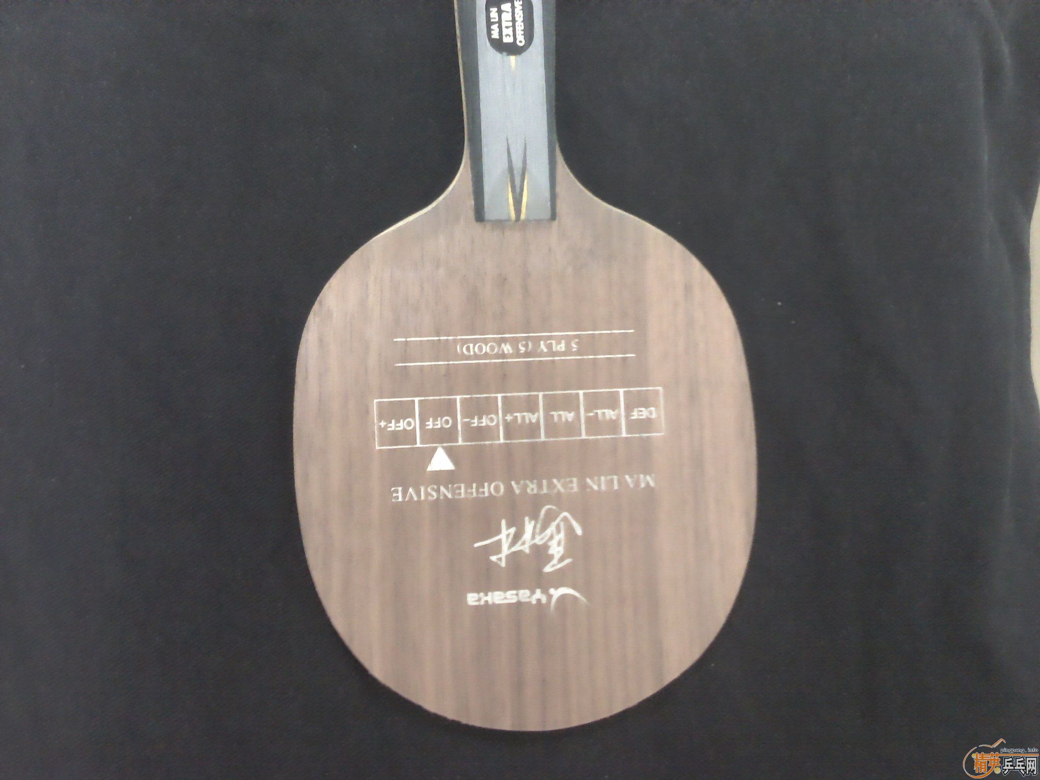 ���л�YEO��EL,���ᣬDonic JO��Nimbus,Yasaka MarkV����쭵ȵȡ�