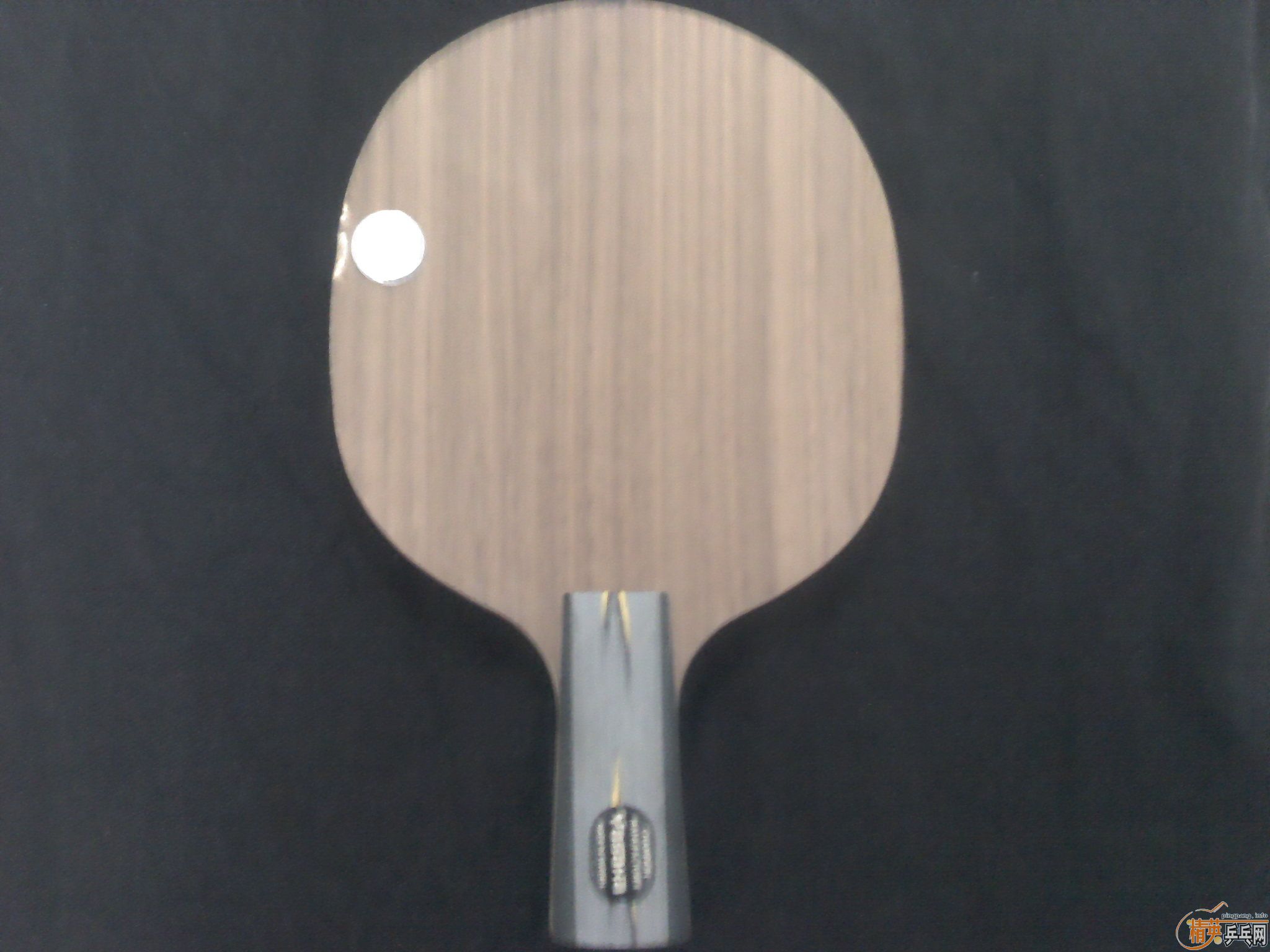 ���л�YEO��EL,���ᣬDonic JO��Nimbus,Yasaka MarkV����쭵ȵȡ�