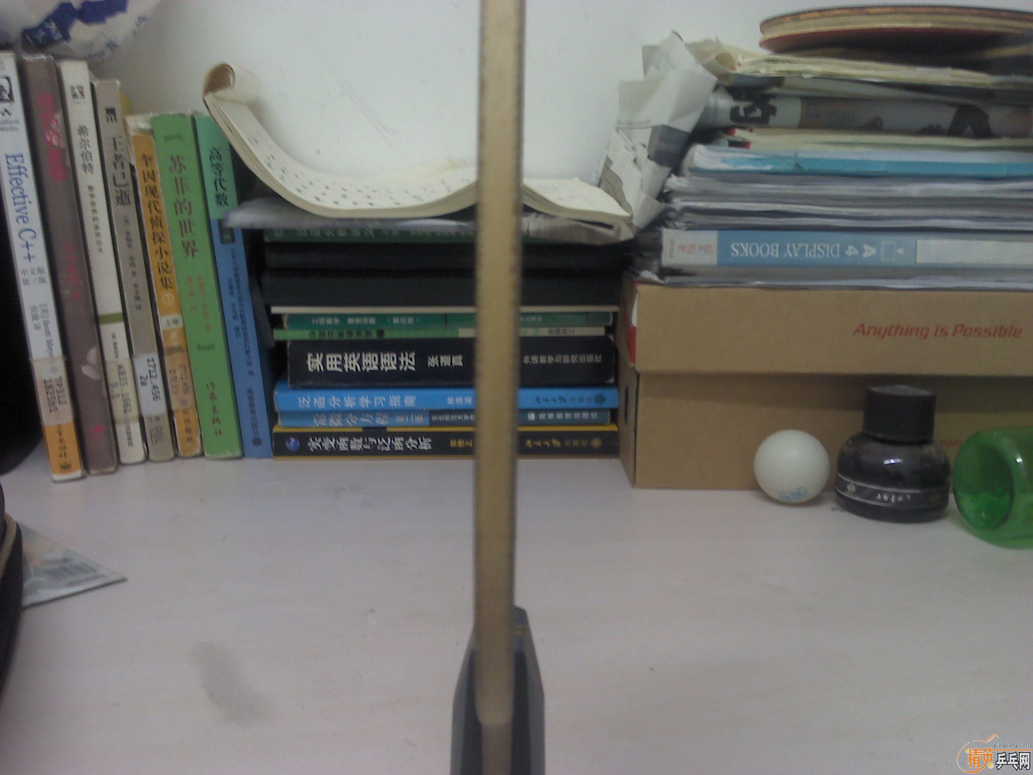 ���л�YEO��EL,���ᣬDonic JO��Nimbus,Yasaka MarkV����쭵ȵȡ�