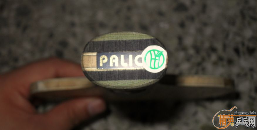 PALIO TT˵õĵװ壩