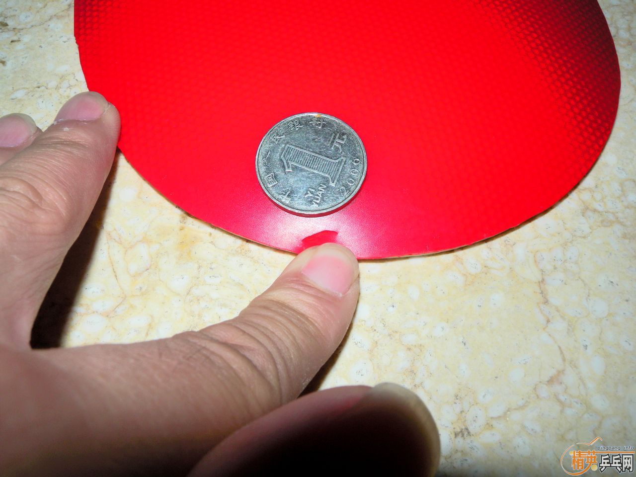 ��һ��renanos hold������һ��acuda s1