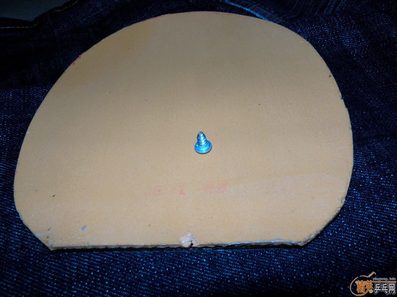 ��һ��renanos hold������һ��acuda s1