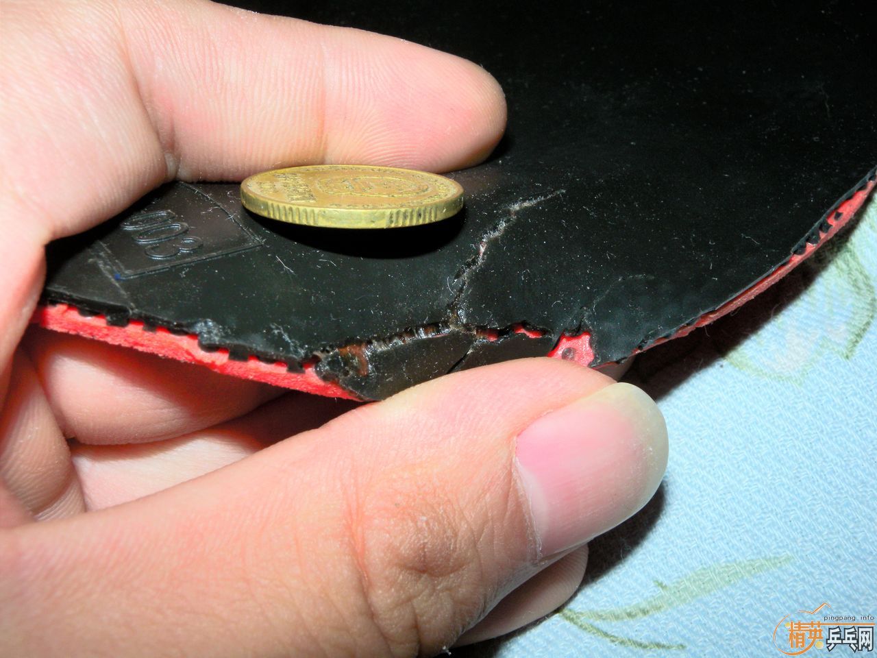 ��һ��renanos hold������һ��acuda s1