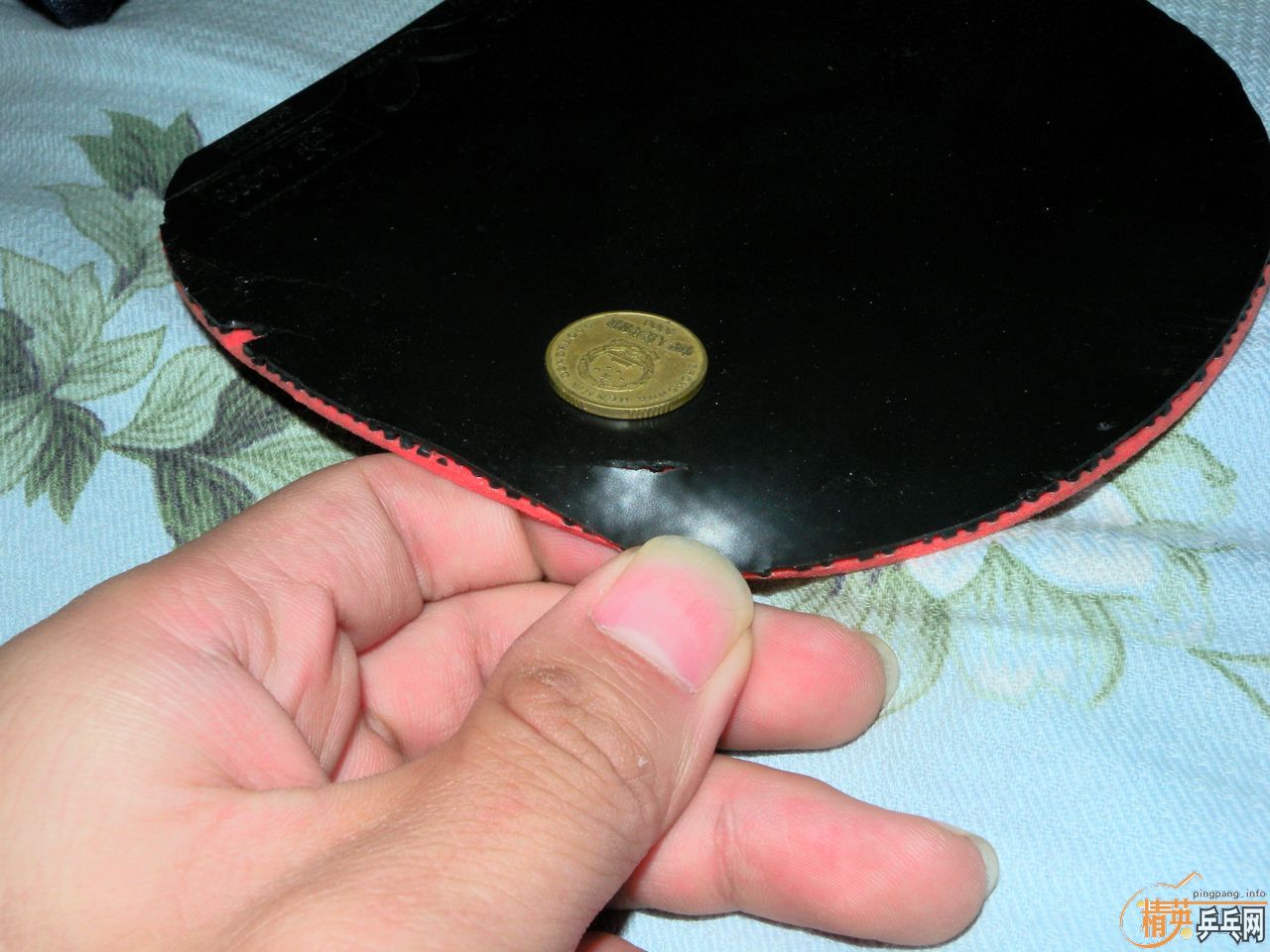 ��һ��renanos hold������һ��acuda s1