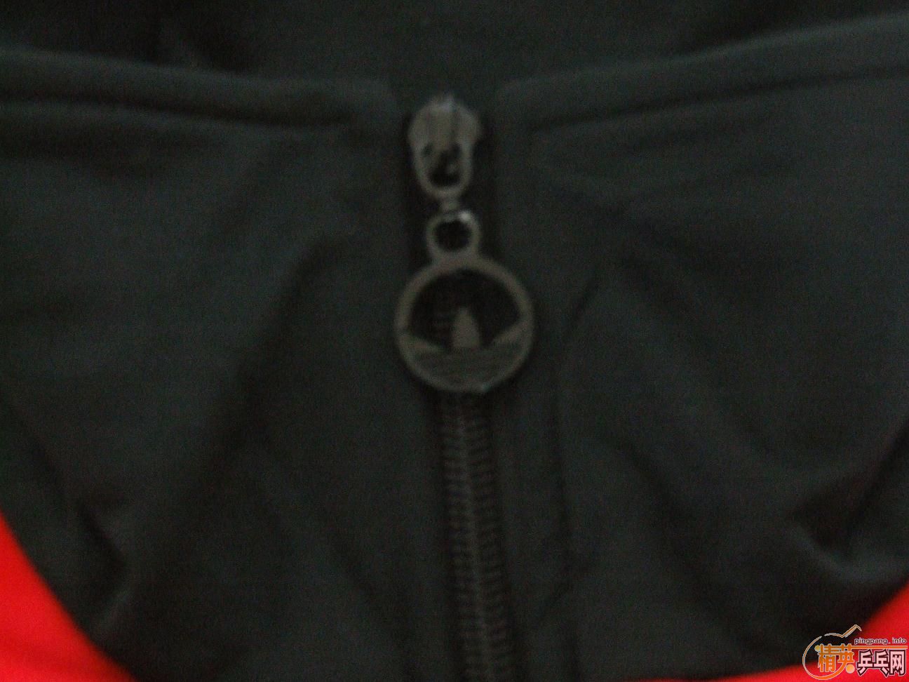 ��ȫ��AD��Ҷ���˶���һ������L