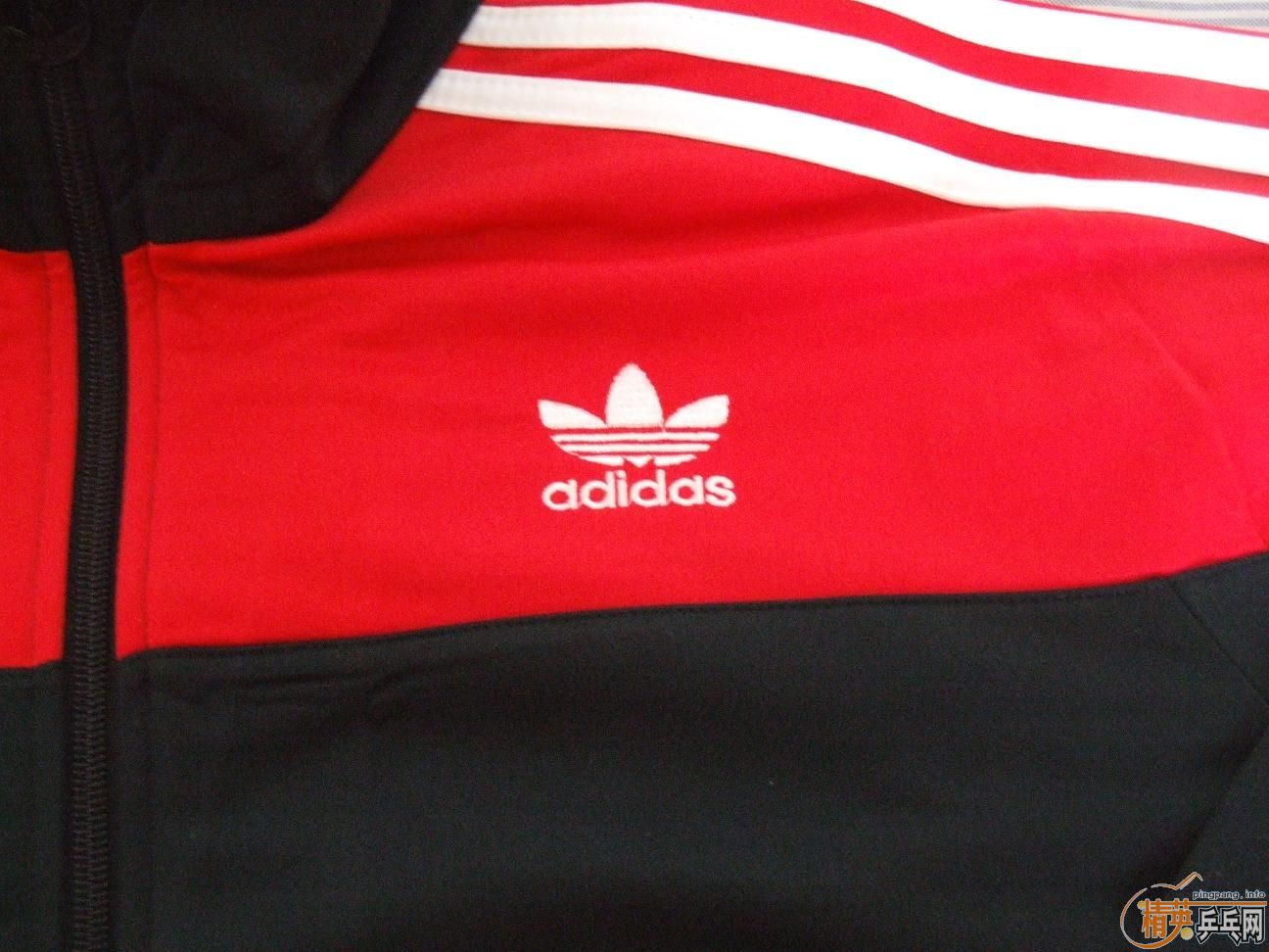 ��ȫ��AD��Ҷ���˶���һ������L