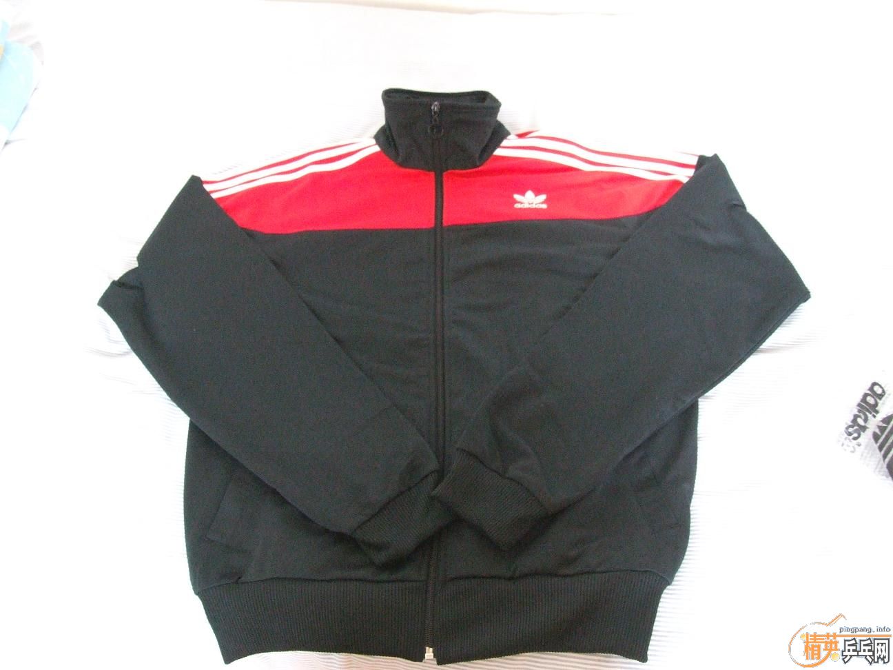 ��ȫ��AD��Ҷ���˶���һ������L