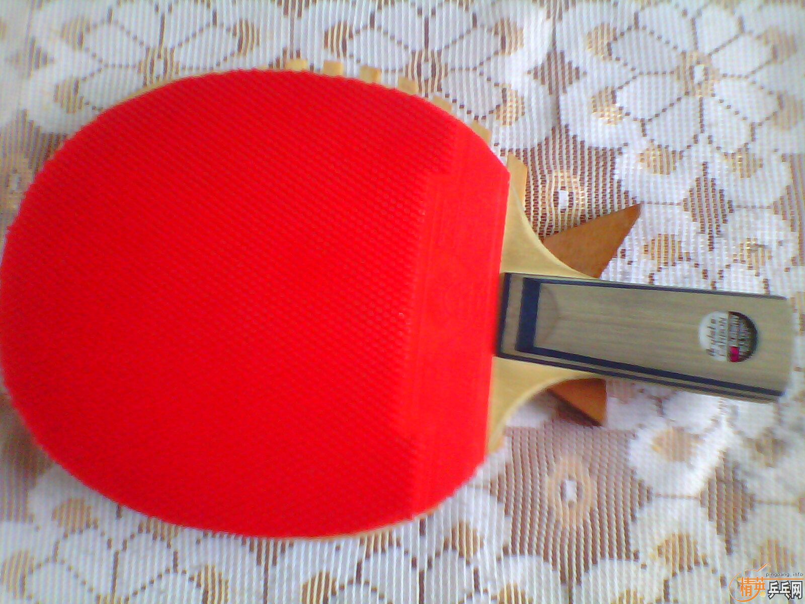 �������ͺ�����