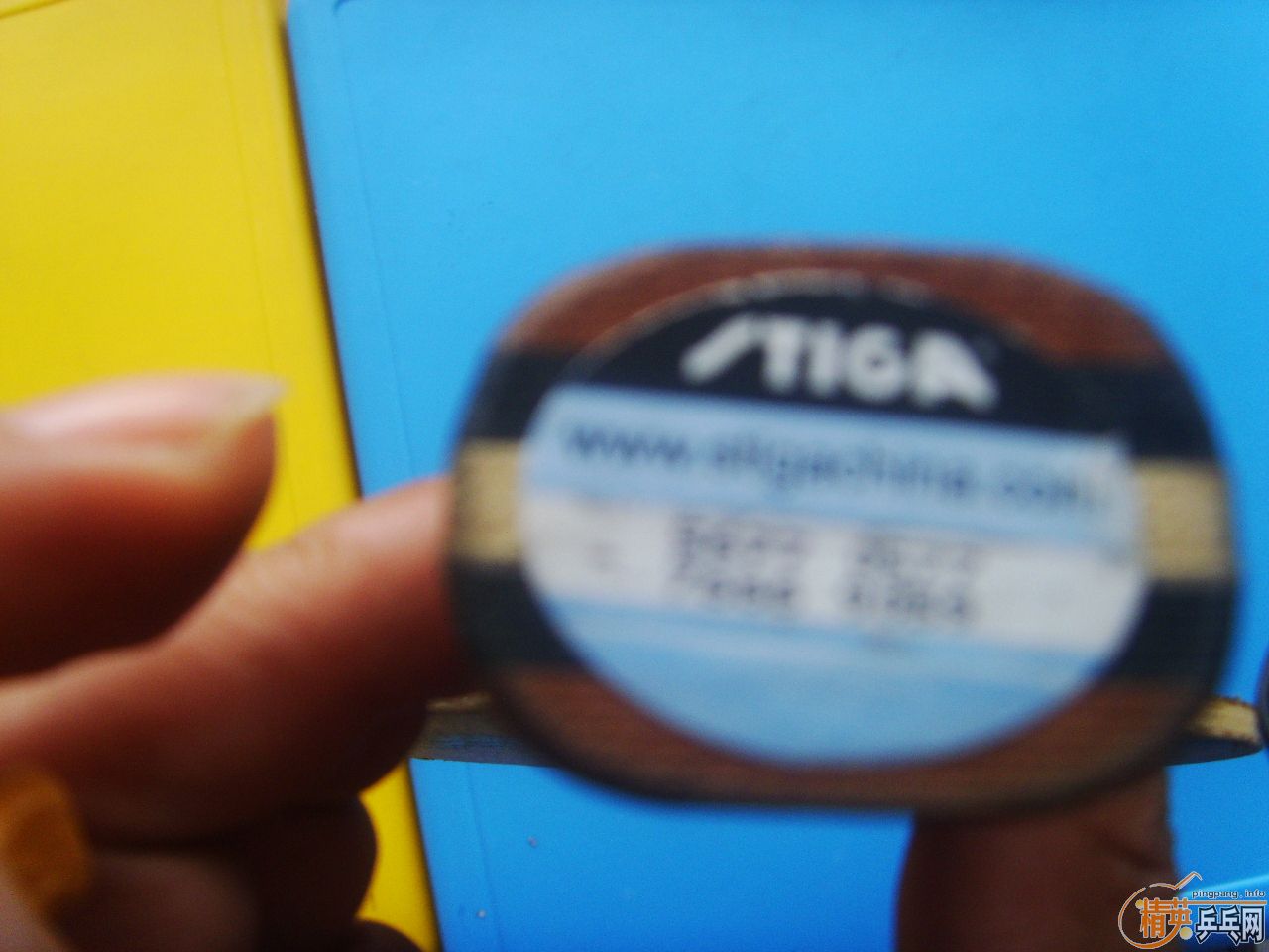 OC�뻻�����氡