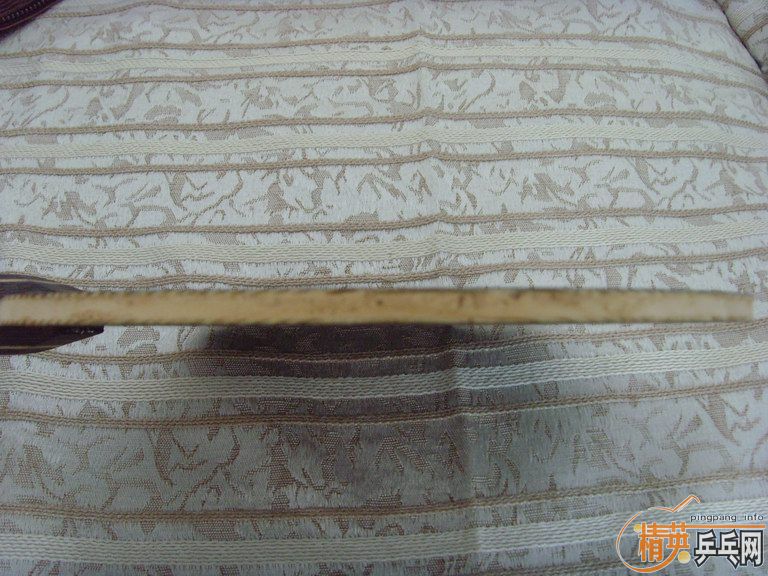 �� ��NEW ��̴5  ��֧������