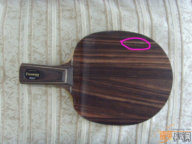 �� ��NEW ��̴5  ��֧������