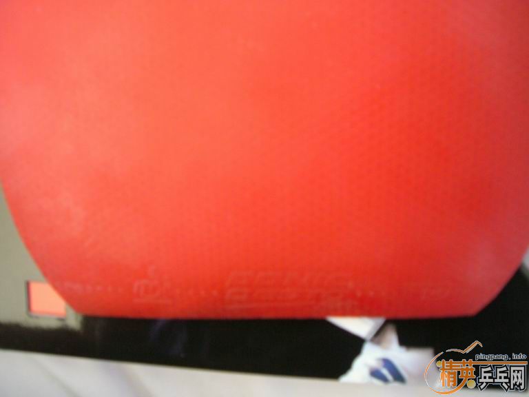 �����ͽ�̤�׽����������F1��HK1997�����