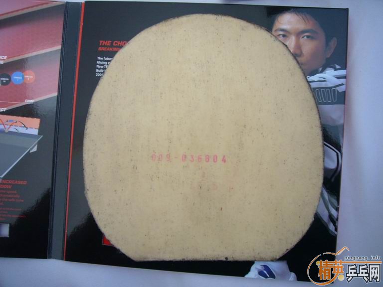 �����ͽ�̤�׽����������F1��HK1997�����