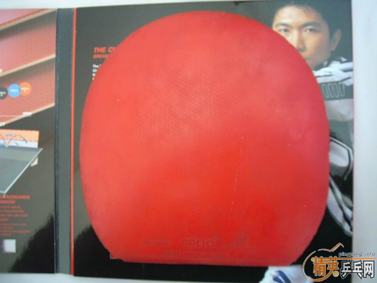 �����ͽ�̤�׽����������F1��HK1997�����